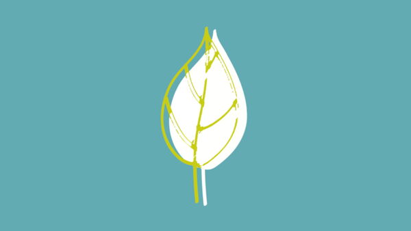 Herbst- & Winterausstellung